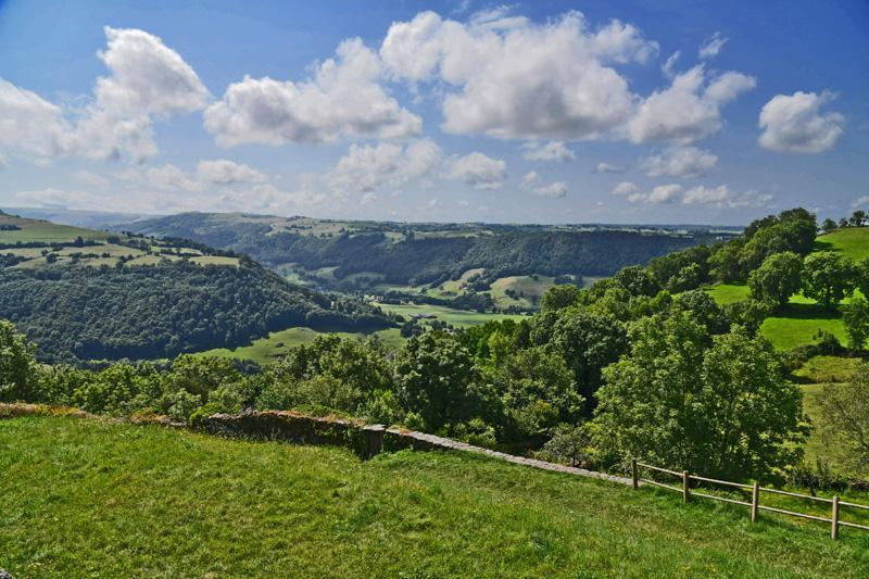 min 2023 08 13 Salers 141